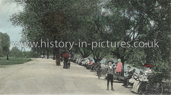 A Shady Walk, Finsbury Park, London, c.1905.